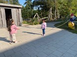 IMG_5677