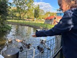 IMG_4504
