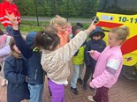 IMG_8762