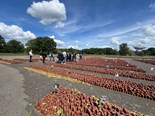 IMG_5724