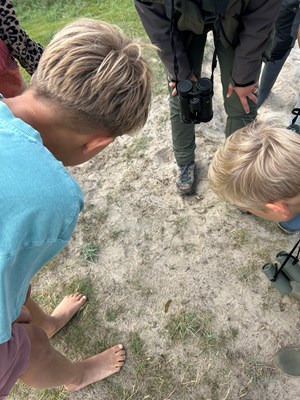 IMG_5065