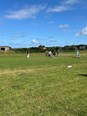 IMG_5066