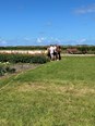 IMG_5067