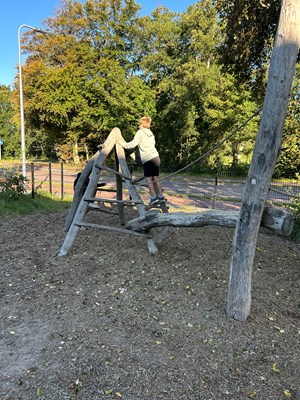 IMG_6771