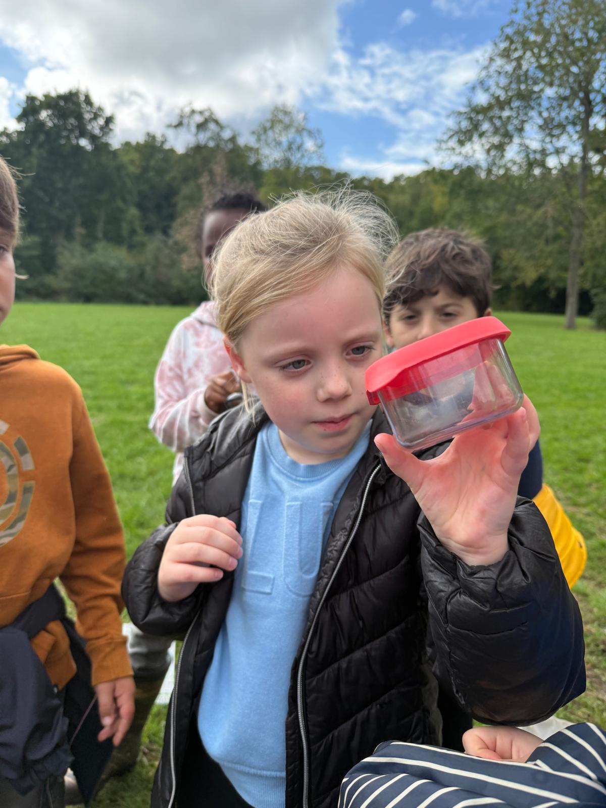 Kriebelbeestjes in bos en sloot 